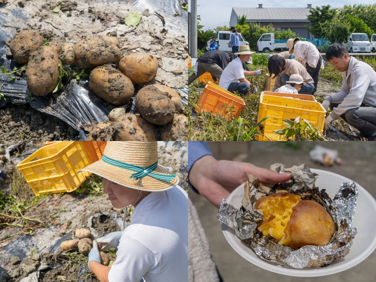 すずきファームじゃがいもＣＳＡ